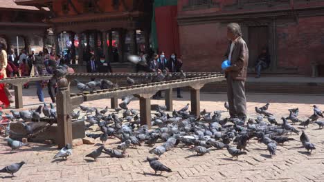Patan,-Nepal---March-3,-2021:-An-elderly-man-feeding-pigeons-at-the-Patan-Durbar-Marg-in-Nepal