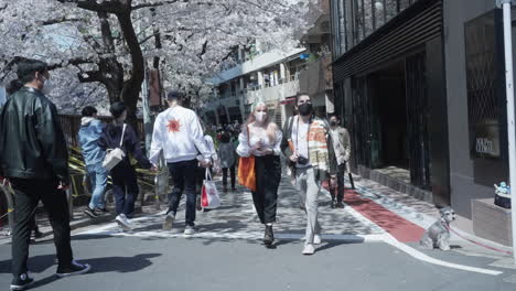 Ausländer-Und-Japaner-Tragen-Masken,-Während-Sie-Während-Des-Hanami-Inmitten-Der-Pandemie-In-Tokio,-Japan,-Auf-Der-Straße-Gehen
