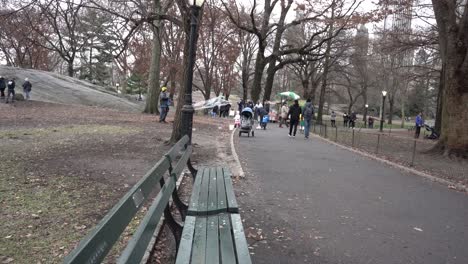 Parque-Central-De-La-Ciudad-De-Nueva-York-4k