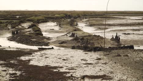 4K-muddy-river-bed-in-a-low-tide-with-some-water-flowing-down-the-river-to-the-ocean