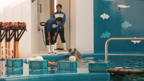 Entrenadores-De-Delfines-Jugando-Con-Un-Delfín-En-El-Acuario-Sendai-Umino-mori-En-Japón---Amplia,-Cámara-Lenta