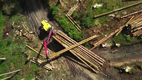 Timber-loading,-loading-logs-into-a-truck,-timber-processing,-deforestation,-timber-loading-with-a-claw