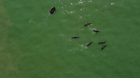 Top-down-view-of-a-rowing-team-practicing-with-black-boats-in-the-green-water-ocean-on-a-sunny-day