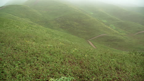 Un-Ciclista-De-Montaña-Solitario-Andando-En-Bicicleta-Por-Un-Sendero-En-Una-Colina-Neblinosa-En-Lomas-De-Manzano,-Pachacamac,-Lima,-Perú