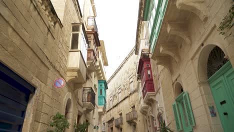 Picturesque-View-of-Long-and-Narrow-Beautiful-Street-in-Birgu-with-Plants-in-Pot-Near-Houses