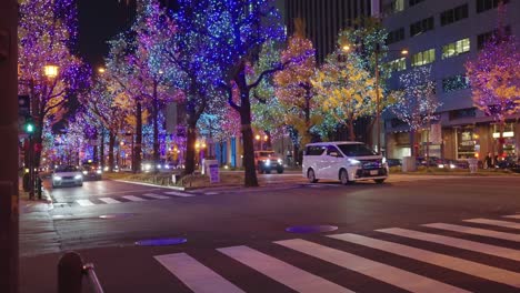 Osaka-festival-of-lights,-Christmas-season-illumination-along-road,-Japan