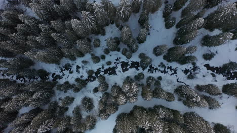Top-down-aerial-of-nearly-frozen-river-in-forest