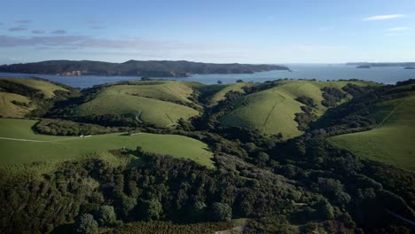Hermoso-Paisaje-Verde-Colinas-Del-Parque-Regional-Tawharanui-En-Nueva-Zelanda
