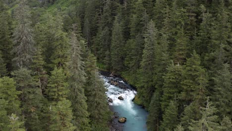 Beautiful-white-water-rocky-river-through-the-forest-of-Alaska--Aerial