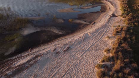 Luftaufnahme-Einer-Person,-Die-Während-Des-Sonnenuntergangs-In-Der-Natur-Von-Uruguay,-Südamerika,-Am-Sandstrand-In-Der-Nähe-Eines-Sees-Mit-Lagunengras-Und-Inseln-Spaziert