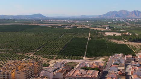 Green-Citrus-Farm-Crop-Fields-Near-Mediterranean-Town-Buildings-In-Algorfa,-Spain