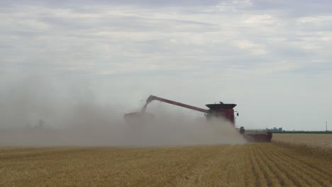 Back-view-of-a-combine-loading-the-grain-onto-a-wagon-while-harvesting-a-wheat-field