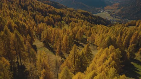 Aerial-flyover-golden-forestry-and-beautiful-mountains-landscape-during-sunny-day-in-autumn---Sesto-Dolomites-in-Italy,Europe---National-Park-of-Tre-Cime