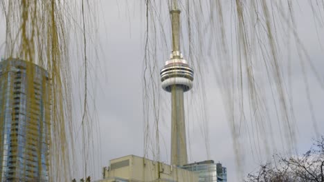 CN-tower-stands-tall-through-tree-leaves-waving-in-slow-motion