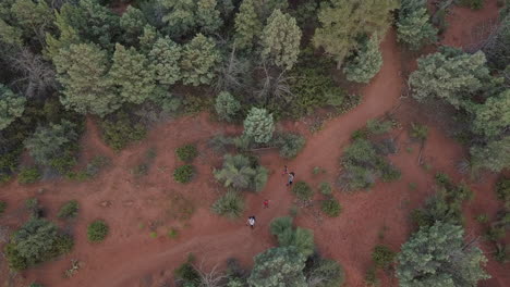 Family-hiking-down-a-dirt-trail-surrounded-by-trees,-aerial-drone-shot