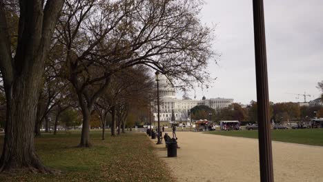 Walking-on-garden,on-cloudy-day-revealing-US-Capitol-buildings-in-distance,-Washington,-D