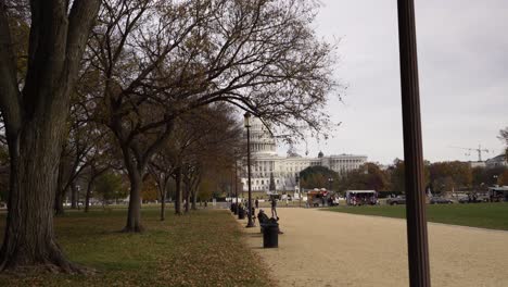 Caminando-En-El-Jardín,-En-Un-Día-Nublado-Que-Nos-Revela-Los-Edificios-Del-Capitolio-En-La-Distancia,-Washington,-D