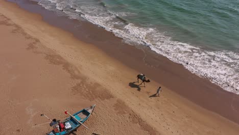 Aerial-Above-View-Of-Pakistani-Male-Walking-With-Camel-Past-Wooden-Row-Boats-On-Beach