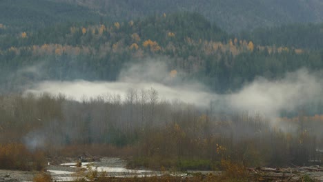 View-of-the-forest-landscape-,-mountain-and-the-smoke-in-woods-in-Abbotsford,-BC-,Canada-,-static