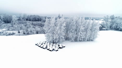 Drohnenaufnahme-Von-Schneebedeckten-Heuballen-Auf-Einem-Bauernfeld