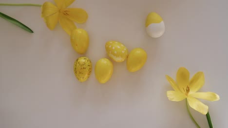 Close-up-top-view-shot-of-yellow-Easter-eggs-with-yellow-flowers-in-white-background