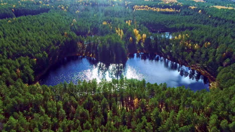 Aerial-view-of-sun-reflection-in-rural-lake-surrounded-by-dense-forest-woodland-in-summer