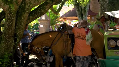 Man-saddling-up-a-horse-in-Valparaíso,-Colombia