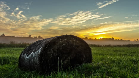 Static-close-up-shot-of-a-hay-bale-on-a-grass-field-with-beautiful-sun