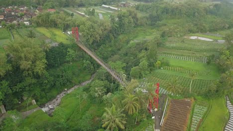 suspension-bridge-crossing-the-valley-with-waterfall-surrounded-by-dense-of-trees-and-vegetable-plantation