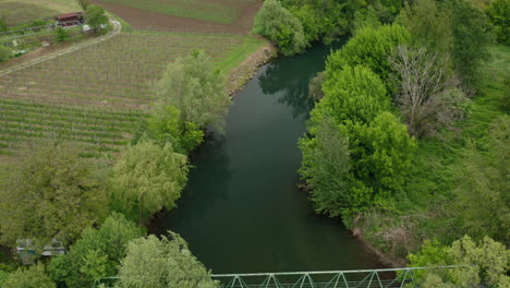 The-river-bank-with-trees,-grass,-small-hills,-houses-and-vine-trees-around-in-the-spring