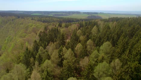 Aerial-breathtaking-view-of-dense-green-forest-trees---aerial-drone-view