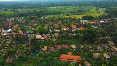 Beautiful-cinematic-Ubud,-Bali-drone-footage-with-exotic-rice-terrace,-small-farms,-village-houses-and-agroforestry-plantation