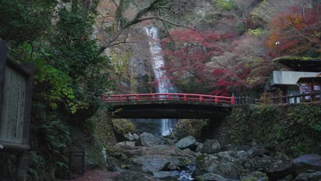 Minoh-Cae-Puente-Rojo,-Otoño-En-Osaka-Japón-4k
