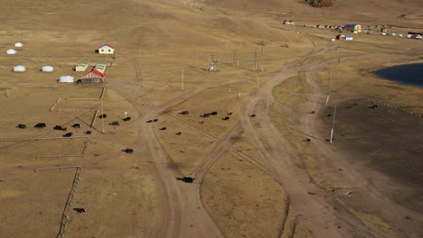 Yaks-Caminando-Por-La-Carretera-En-El-Pueblo-Mongol-Durante-El-Día,-Aéreo