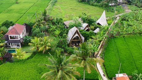 eco-bamboo-villa-surrounded-by-a-green-rice-field-in-Ubud-Bali,-aerial