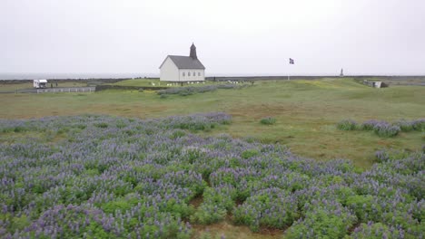 Island-Kirche-4k-Mit-Blumen