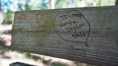 Graffiti-written-and-carved-into-a-bench-on-a-nature-hiking-trail-in-Lake-Catherine-State-Park