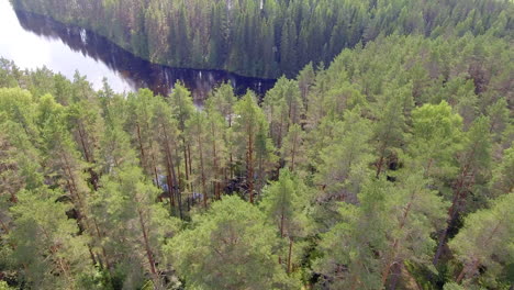 Video-De-Drones-De-Un-Lago-Y-Un-Bosque-En-El-Desierto-Finlandés