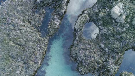 Large-turquoise-water-rockpool,-with-lots-of-seaweed,-a-perfect-wildlife-coastal-habitat