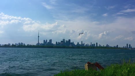 Static-wide-shot-of-skyline-of-Toronto-taken-from-Tommy-Thompson-park,-with-seagull-flying-through-frame