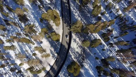 Aerial-Above-Forrest-with-Car-Driving