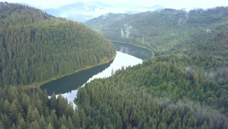 Overhead-Aerial-Drone-Shot-Punching-in-Along-a-River-Revealing-the-Vastness-of-the-Pine-Trees-and-Wilderness-of-the-Valea-Draganului-in-Romania