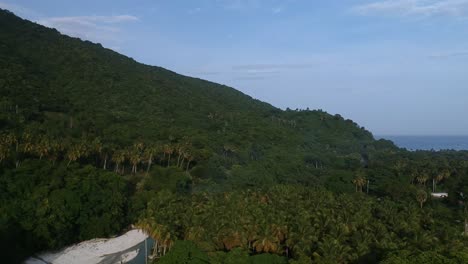 Wide-view-of-a-tropical-island-setting