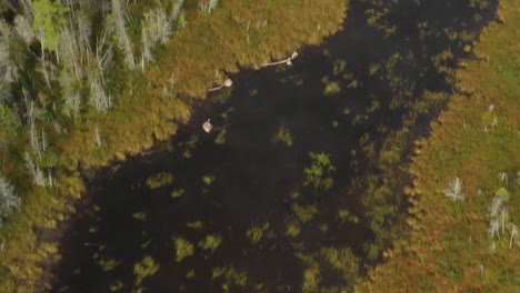 Luftaufnahmen-Eines-Abgelegenen-Sees-Im-Norden-Von-Maine-Im-Frühherbst,-Der-Sich-Nach-Unten-Neigt-Und-Den-Mäandrierenden-Bach-Auf-Seinem-Weg-Zum-See-Sichtbar-Macht