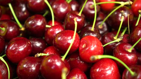SLOWMO---Red-fresh-ripe-cherries
