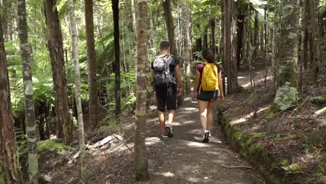 Jóvenes-Mochileros-Desde-Atrás-Caminando-A-Través-Del-Exuberante-Bosque-Tropical-Nativo-De-Nueva-Zelanda