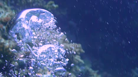 rising-air-bubbles-under-water-in-slow-motion