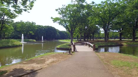 Mit-Menschen-Durch-Den-Yoyogi-Park-Spazieren-Gehen