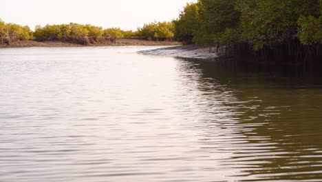 Schwenkblick-Auf-Den-Fluss-Und-Die-Mangroven