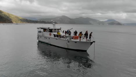 SLOWMO---Group-of-people-on-anchored-cruise-boat-in-bay-in-Marlborough-Sounds,-New-Zealand